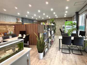 店内